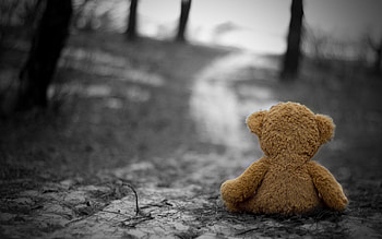 Grass, Miscellanea, Miscellaneous, Toy, Loneliness, Mood HD wallpaper
