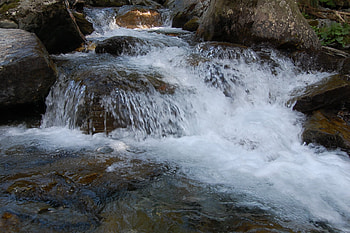 spring waterfall, waterfall, spring, water, forest HD wallpaper