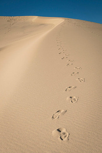 Nature, Sky, Sand, Desert, Traces, Dunes HD phone wallpaper