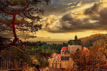 Medieval Forest, Nature, Autumn, Forest, Sky HD wallpaper
