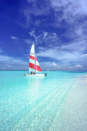 Idyllic scene of a sailboat on pristine turquoise waters under a clear blue sky in the Maldives. HD phone wallpaper