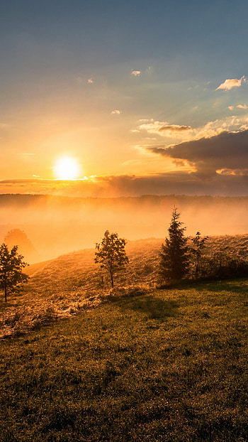 Nature's sunlit beauty, Warm embrace, Natural wonders, Sunny landscapes HD phone wallpaper