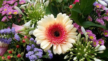 Flower Bouquet, Spring flower bouquet, Barbara's , Blossoming flowers HD wallpaper
