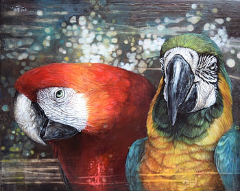 Parrots, couple, peacock, pasari, blue, bird, art, sophie wilkins, ara, paun, red, yellow HD wallpaper