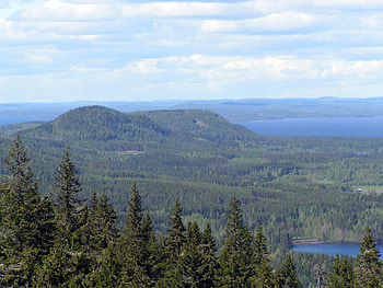 National park,Koli, finland, trees, koli, park HD wallpaper
