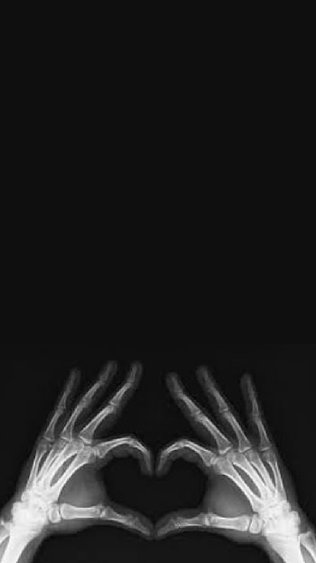 hand bone, feather, jaw HD phone wallpaper