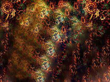 Flower in Shadow by Rezowan HD wallpaper