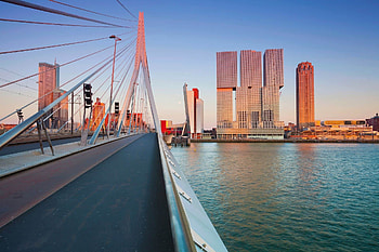 Rotterdam Skyline, Intriguing facts, Premier Suites serviced apartments, Vibrant city HD wallpaper
