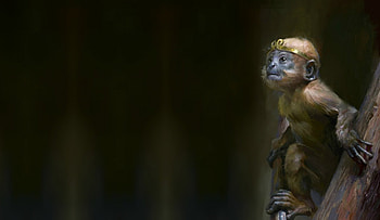 Little prince, animal, black, monkey, fantasy, art, prince, jun ling HD wallpaper