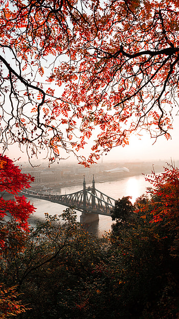 Cities, Autumn, City, Bridge, Hungary, Budapest, Citadel HD phone wallpaper