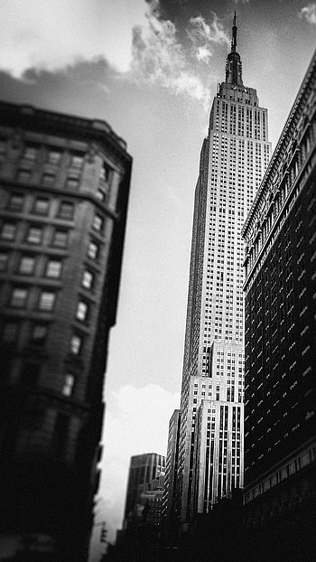 New York Black and White, Architecture Painting, Watercolor Trees HD phone wallpaper