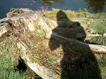 boogie man 2010, me, boogie, odd HD wallpaper
