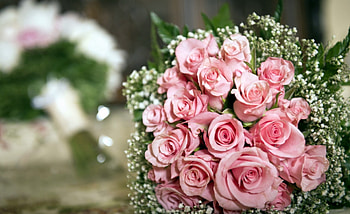 * Pink bouquet *, pink roses, pink, bouquet, roses HD wallpaper