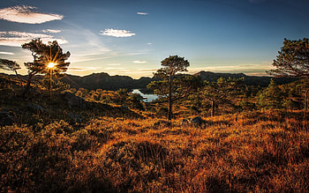 Nature, Trees, Grass, Sky, Norway HD wallpaper