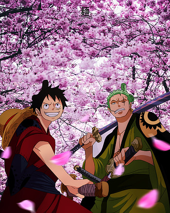 one piece, luffy, zoro, wano HD phone wallpaper