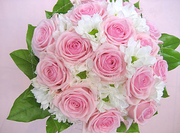 Flowers, Roses, Leaves, Registration, Typography, Bouquet, Tenderness HD wallpaper
