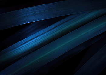 Abstract Makeover, abstract, artist, artwork, digital-art HD wallpaper