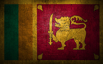 Sri Lankan metal flag, grunge art, asian countries, Day of Sri Lanka, national symbols, Sri Lanka flag, metal flags, Flag of Sri Lanka, Asia, Sri Lankan flag, Sri Lanka HD wallpaper