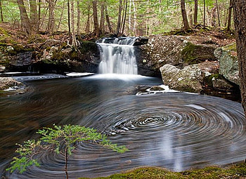 Forest Stream, cool, forest, , stream HD wallpaper