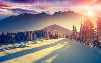 Winter Windows 10 , Winter HD wallpaper