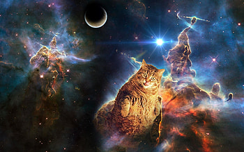 Space cat dump ? HD wallpaper