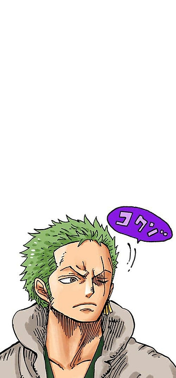 Zoro, Anime, Punk_Hazard, One_Piece, Manga HD phone wallpaper