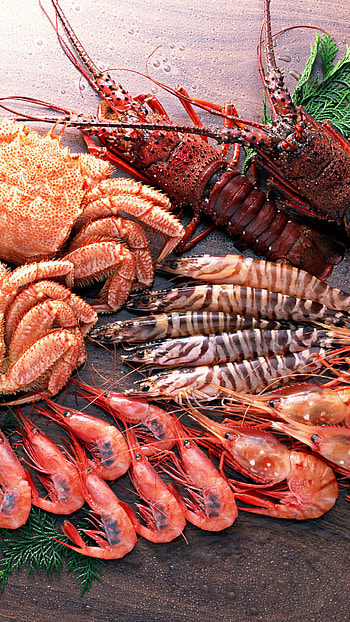 Seafood , Seafood delicacies, Seafood dish, Border grill HD phone wallpaper