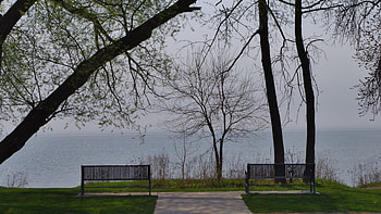 Solitude, trees, bench, summer, lake HD wallpaper