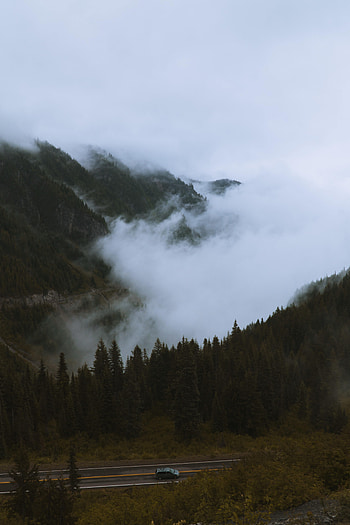 Nature, Trees, Mountains, Pine, Road, Fog, Car HD phone wallpaper