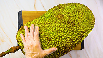 Jackfruit , Captivating visuals, Tropical fruit, Background beauty HD wallpaper