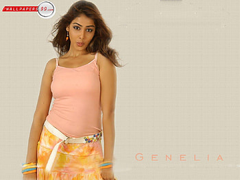 genelia cute, genelia, heroine, bommarillu, telugu actress, cute HD wallpaper