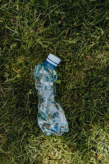 Discarded plastic bottle lying on green grass, highlighting environmental pollution. HD phone wallpaper