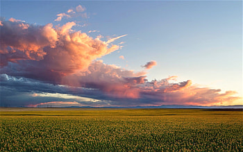 the warm south wind, clouds, sky, flowers, field HD wallpaper