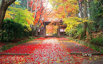 Japan Nature Â· Nature | Best . HD wallpaper