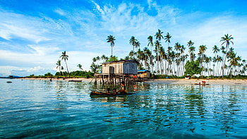 Beaches - Tropics Palma Maiga Malaysia Coast Nature Island Background for 16:9 HD wallpaper