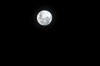 A detailed view of the full moon illuminating the night sky with craters clearly visible. HD wallpaper