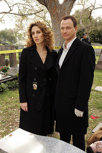 CSI: NY TV Series, Intriguing crime cases, Engrossing episodes, Captivating cast HD phone wallpaper