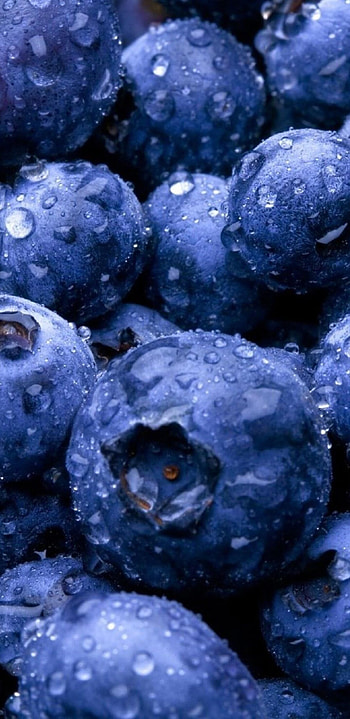 Huckleberry, Fruits, Samsung Galaxy Note 9, Blueberry HD phone wallpaper