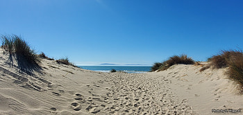 Pathway to the Beach, Dunes, Sand, Ocean, Mist, Mandalay, Beach, California, Sky, Islands HD wallpaper