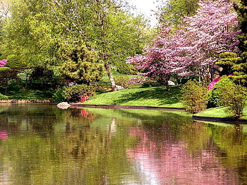 Landscape, Rivers, Trees HD wallpaper