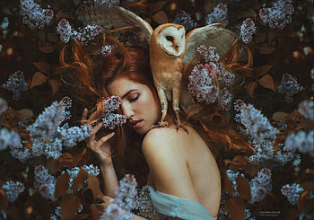 :), bufnita, girl, owl, pasari, woman, blue, model, bird, lupin, marketa novak, flower HD wallpaper