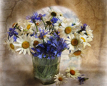 Still life, wild flowers, vase, beautiful, nature, flowers, daisies HD wallpaper