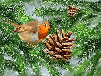 First snow, winter, frost, birds, first, cute, cold, beautiful, cone, nice, snowflakes, snow, branches, lovely HD wallpaper