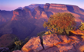 Wild nature, landscape, nature, tree, mountain HD wallpaper