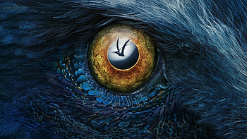 Prehistoric Planet, Ancient animal eye, close up, 2022 HD wallpaper