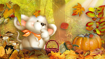 Fluffy Dog In An Autumn Scene - WallDevil HD wallpaper