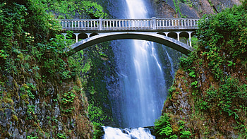Landscape, Nature, Leaves, Rocks, Waterfall, Vegetation, Bridge, Humidity HD wallpaper