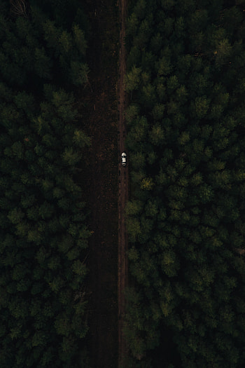View From Above, Miscellanea, Miscellaneous, Road, Forest, Car HD phone wallpaper