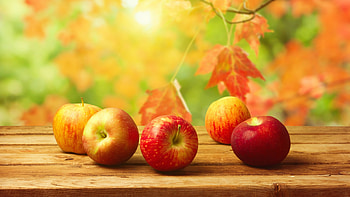 Apples, Fruits HD wallpaper