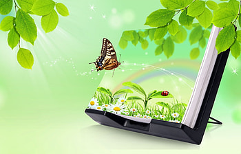 Butterflies, Insects HD wallpaper